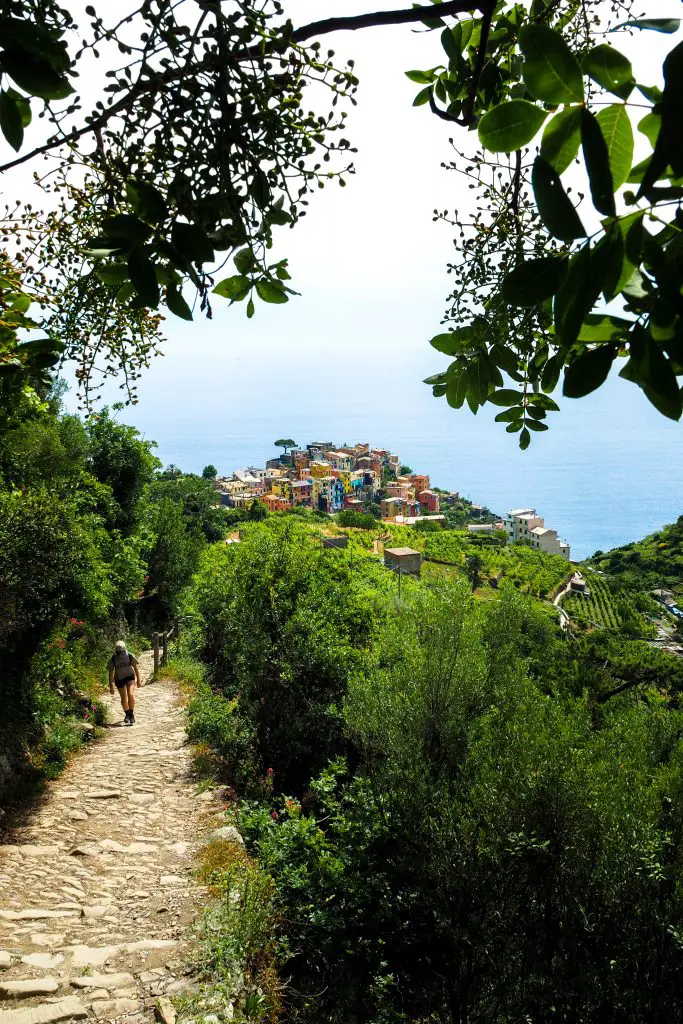 Cinque Terre Wine Region