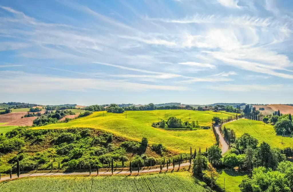 Tuscan wines