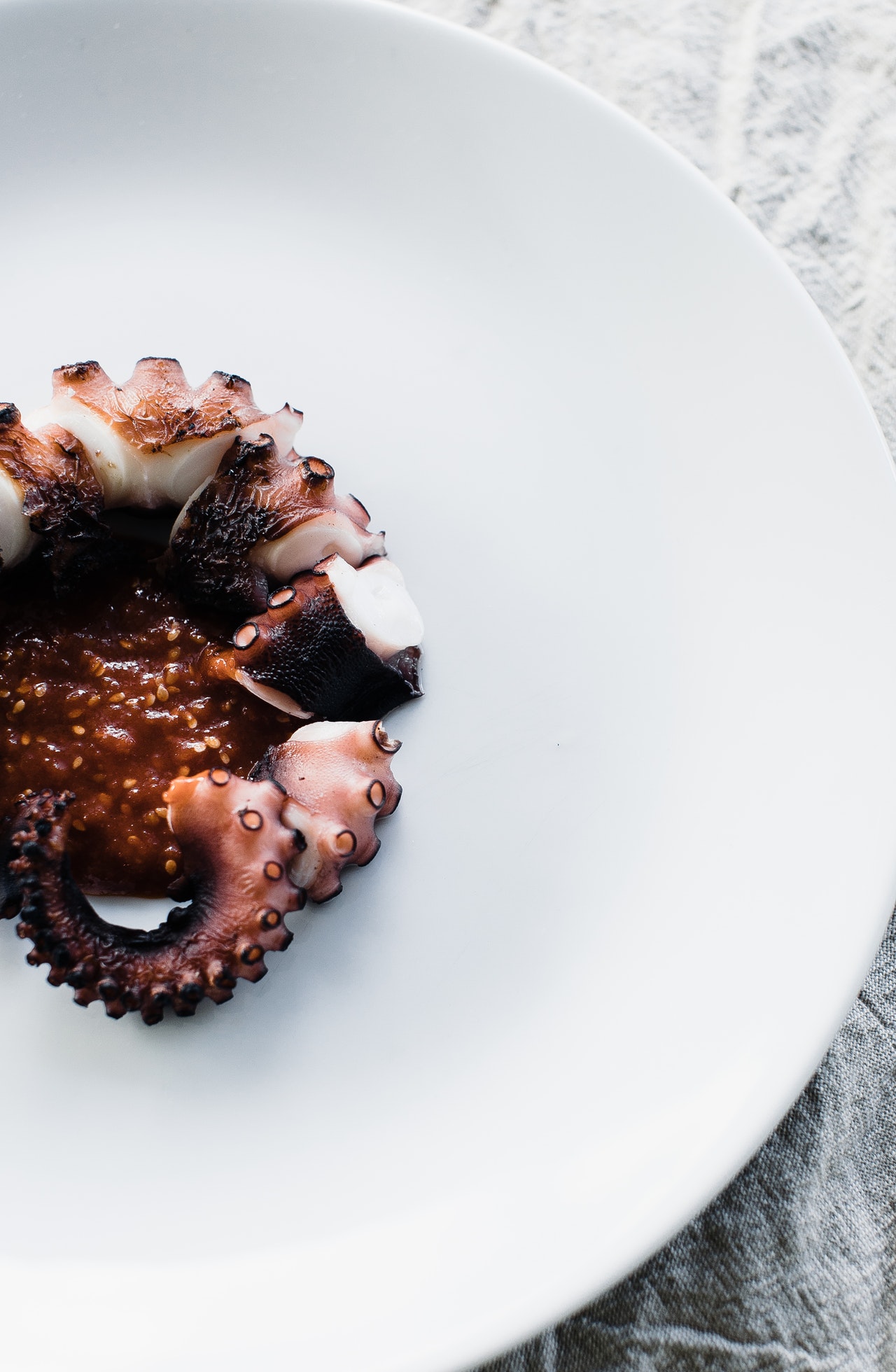 Octopus wine pairing six ideas for what pairs well The Wine Wiki