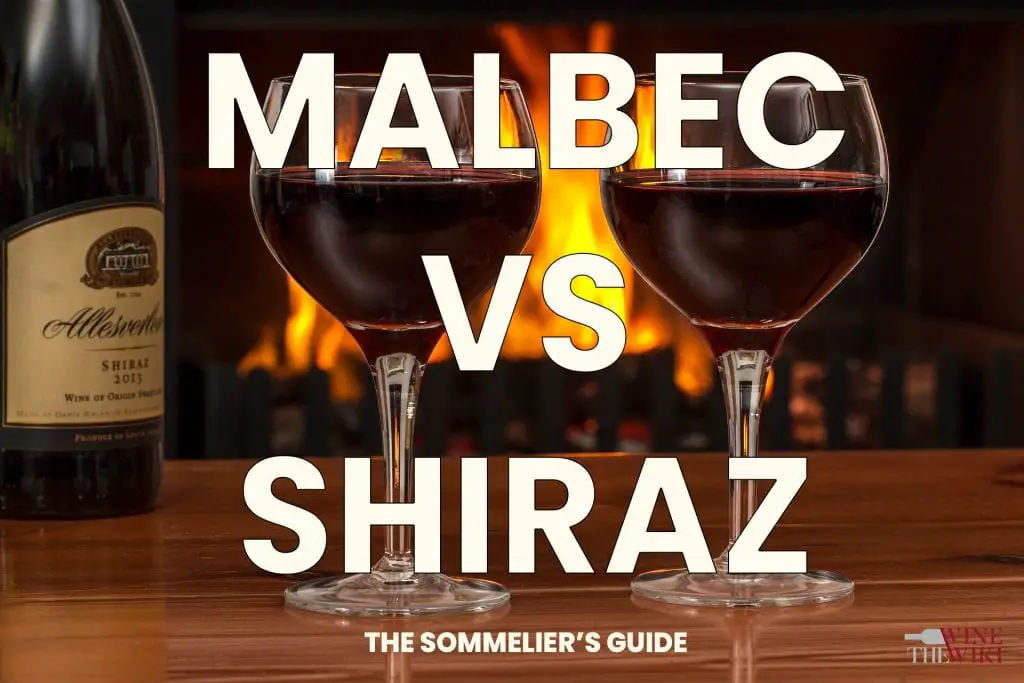 Malbec vs Shiraz: The Sommelier’s Guide