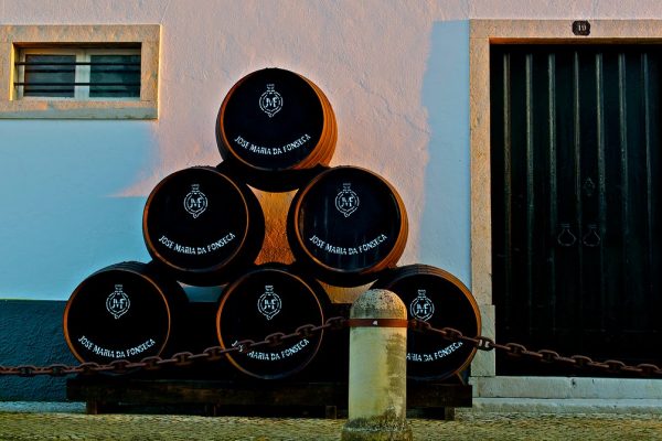 Barrels of Setúbal wines