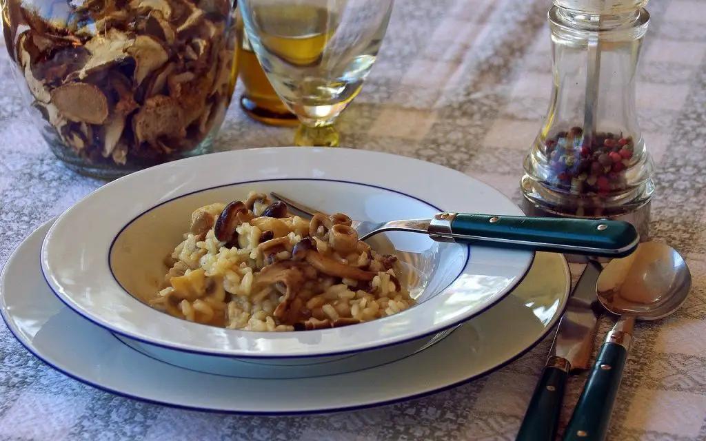 Mushroom risotto for pairing with Setúbal wine