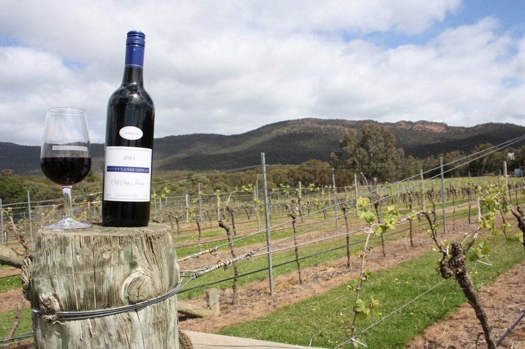 bottle of shiraz in australian vineyard