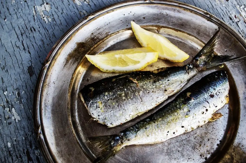 Grilled sardines on plate with slices of lemon for vinho verde pairing
