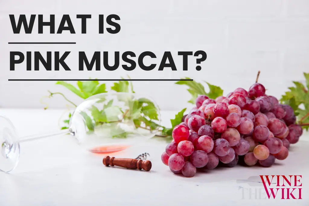 Moscato Rosa: What is Pink Muscat?