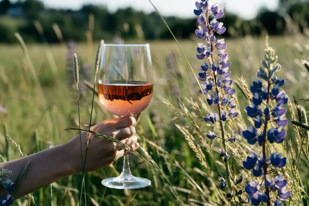 Glass of white zinfandel in field of wildflowers