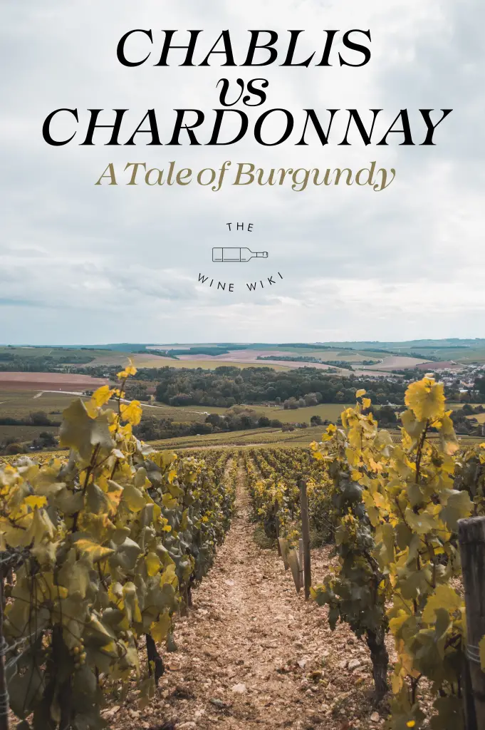 Chablis vs Chardonnay: A Tale of Burgundy