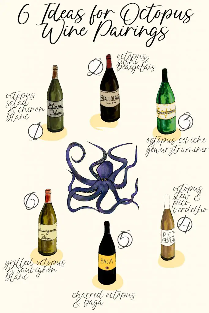 octopus wine pairing infographic