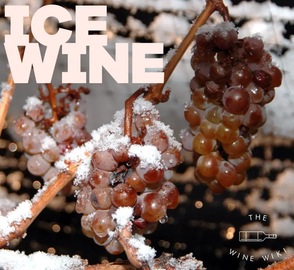 Ice Wine: Everything You Need To Know