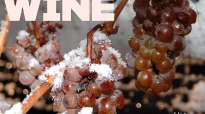 ice-wine-grapes