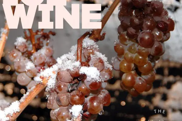 ice-wine-grapes